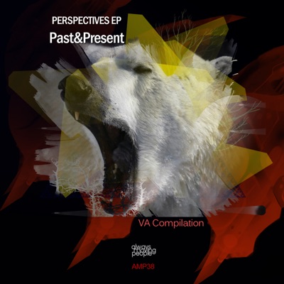 Perspectives EP  Past & Present