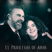 El Privilegio De Amar song art