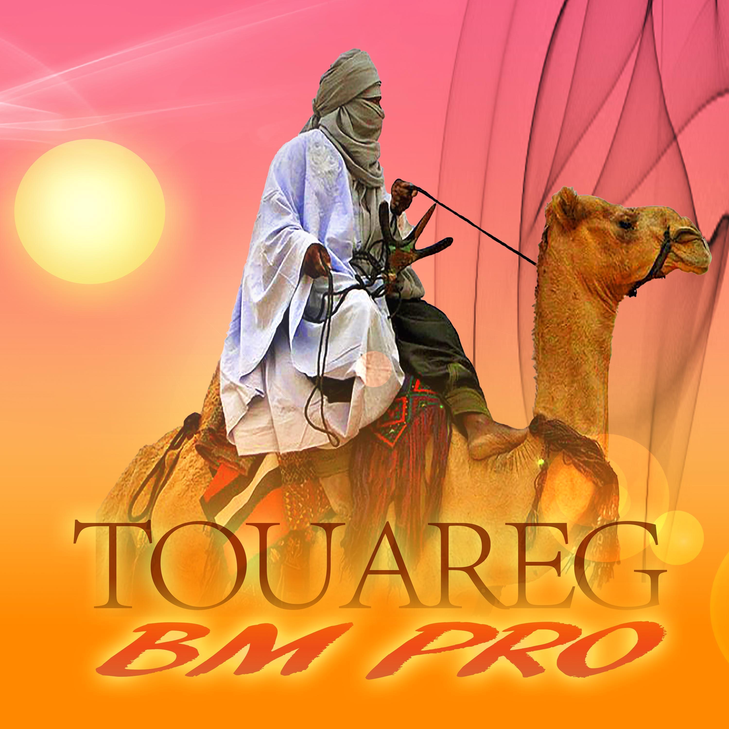 Touareg chabiba (Instrumental) - Single