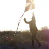 Air France - No Way Down