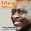 Mzwakhe Mbuli - God the Best artwork