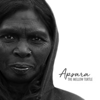 Apsara - Single - The Mellow Turtle
