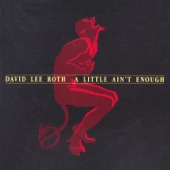 David Lee Roth - 40 Below
