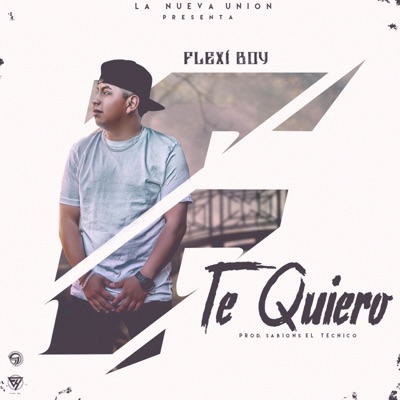 Te Quiero - Single