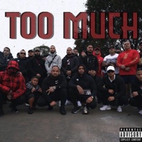 Too Much (feat. RedHoncho, Gee8six, Ldp & Slickmillz) - Single - Trackaddictz