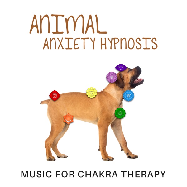 Animal Anxiety Hypnosis: Music for Chakra Therapy – Sounds to Calm Down Your Adorable Puppy, Soothing Music, Life Full of Fun
