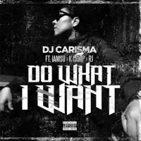 Do What I Want (feat. IAMSU!, K CAMP & RJ) [Clean] — DJ Carisma