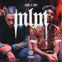 MLM (feat. Tey) - Single - ASH