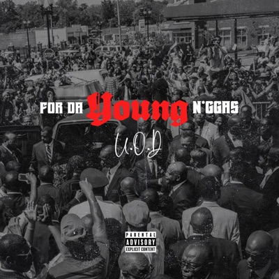 For Da Young Niggas (feat. M.O.B. Mook & Krwn spitta) - Single
