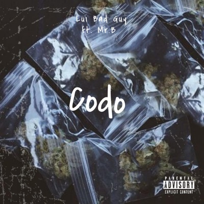 Codo (feat. Mr.B)