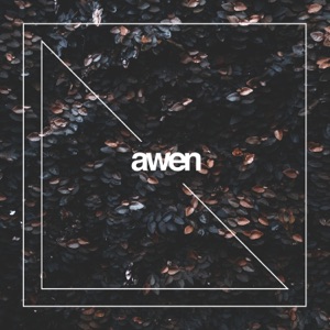 Third Dimension - Single