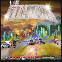 Vitamina (feat. Danny Casser) - Single - Samir Kurt