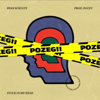 Going Crazy (feat. Pozeg) - Single - ryan schultz