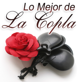 Lo Mejor De La Copla Vol.1