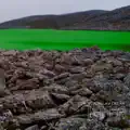 Rakas