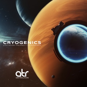 Continuum Theories - Single