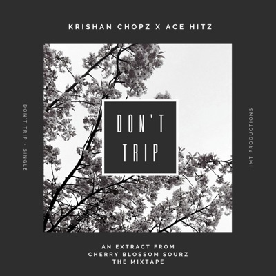 Don't Trip - Single