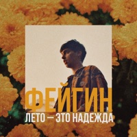 Лето - это надежда - Single - Фейгин