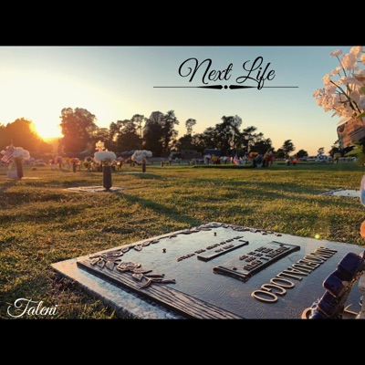 Next Life - Single