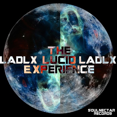 The Lucid Experience
