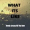 What its Like (feat. KD Tha Goer) - Doody Jrozay lyrics