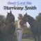 Hurricane Smith - Who Was It?