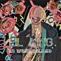 13Wonderlland - Lil KING