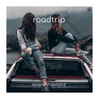 Roadtrip - Single - Scandinavianz
