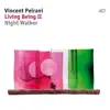 Vincent Peirani - Kashmir to Heaven: Stairway to Heaven
