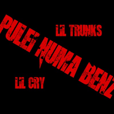 Pulei Numa Benz - Single