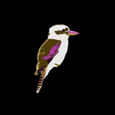 Bonza-K: песни, клипы, биография, даты выступлений и многое другое.