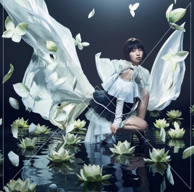 宝物 藤田麻衣子 Shazam