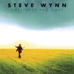 Steve Wynn - If My Life Was an Open Book