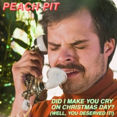 Did I Make You Cry on Christmas Day? (Well, You Deserved it!) - Single