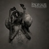 Leprous Down The Congregation
