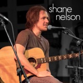 Shane Nelson - Let's Give It Our Best Shot