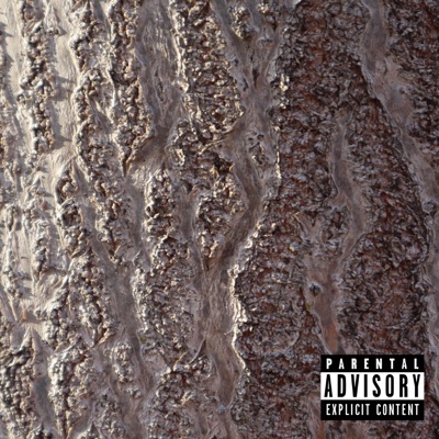 Stay Grounded - Single