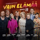 Parisängyn lakanat (Vain elämää kausi 11) artwork