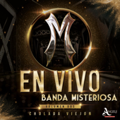 El Ranchero Chido (En vivo) - Banda Misteriosa Cover Art