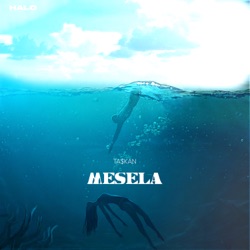 Mesela