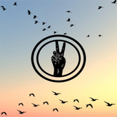 Bird Sounds