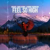 Feel so High - Single - Highup & Chris Burke