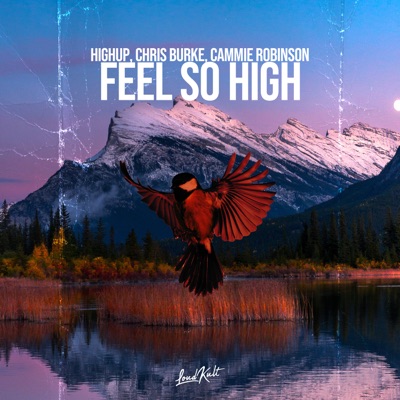 Feel so High - Single