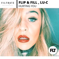 Hurting You - Single - Flip & Fill & L.U.C.