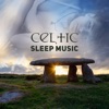 Celtic Sleep Music: Deep Dreams & Relaxation with Traditional Celtic Harp & Flute