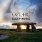 Falling Asleep - Celtic Chillout Relaxation Academy lyrics