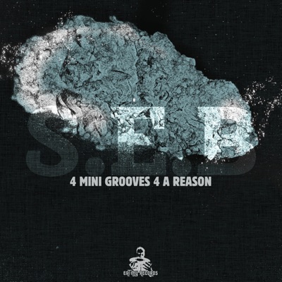 4 Mini Grooves 4 a Reason - EP