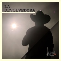 La Devolvedora - Single - Walter Silva