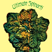 Ultimate Spinach - PLASTIC RAINCOATS/HUNG UP MINDS