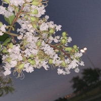 Meaningless V2 - Single - narcø!